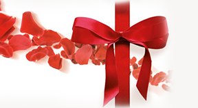 Bratislava Gift vouchers